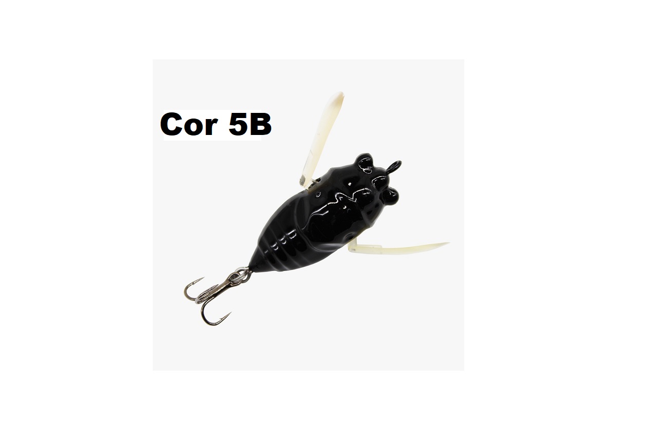 cor 5b